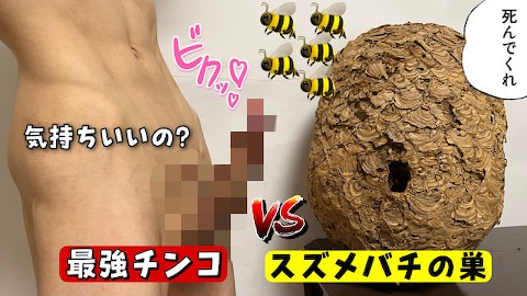 【伝説】スズメバチの巣でオナニーできるか検証してみた! オナニストたけ